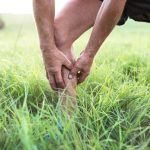 Dirty Air May Cause Rheumatoid Arthritis Flares