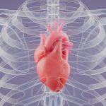 Hidden Heart Problem Found in 4 in 10 People With Common Heart Failure